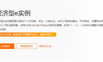2025年阿里云经济型e实例云服务器选购指南：省钱秘籍大公开