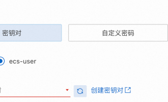 阿里云服务器怎么登陆，常见登陆方式教程详解