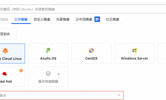 阿里云服务器镜像类型深度解析，选对镜像省心省力！超全指南！