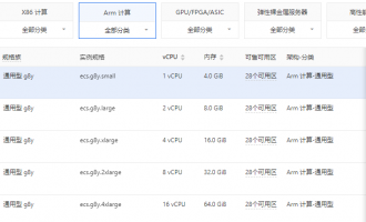 阿里云服务器2核16G/4核32G/8核64G三大配置实例特性与价格对比，性价比与性能平衡策略深度剖析