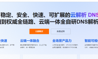 阿里云优惠：云解析DNS19.9元/年低价长效+企业旗舰版免费试用，100%可用性保障